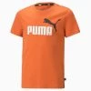 Puma Junior T-shirt Ess+ 2 Col Logo - 095 Chili Powder