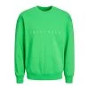 Jack & Jones Jack&Jones Heren Sweater Klassiek - 176363003 Island Green/RELAXED
